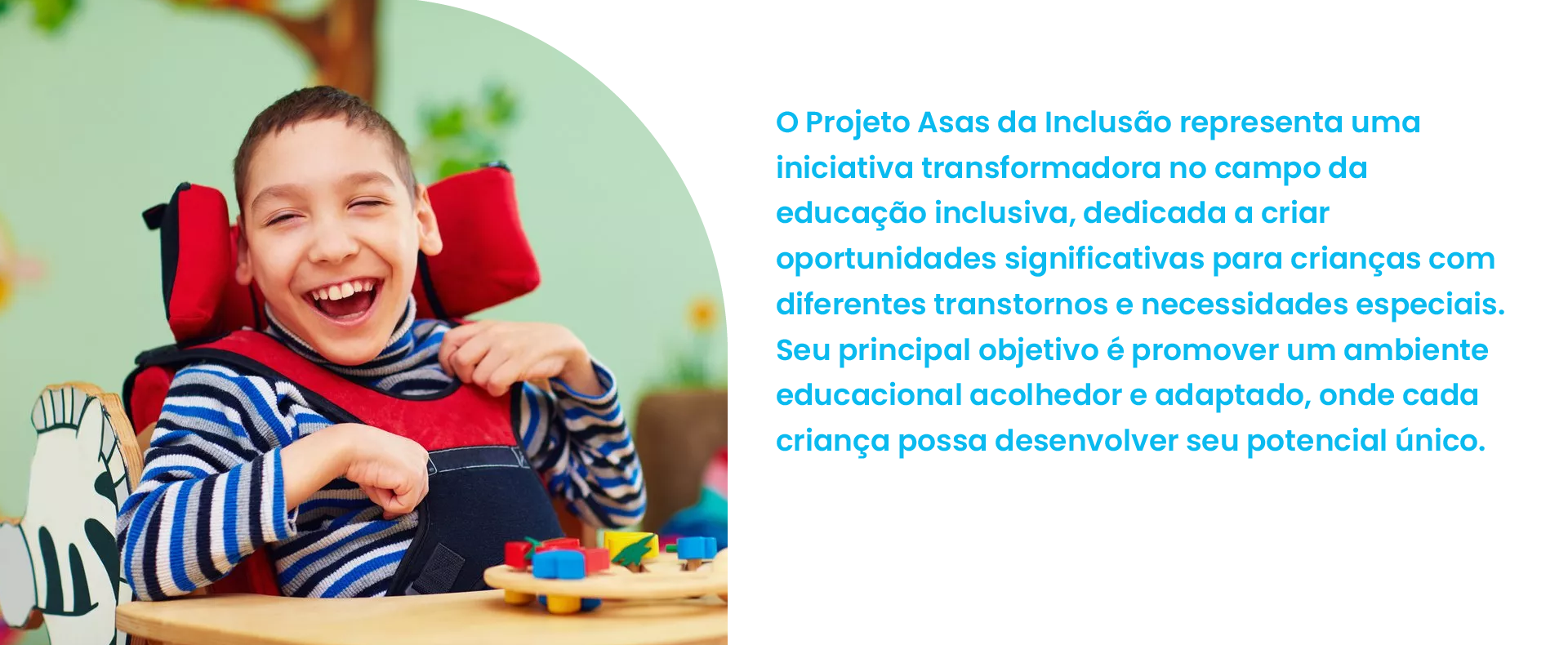 Banner Asas da Inclusão